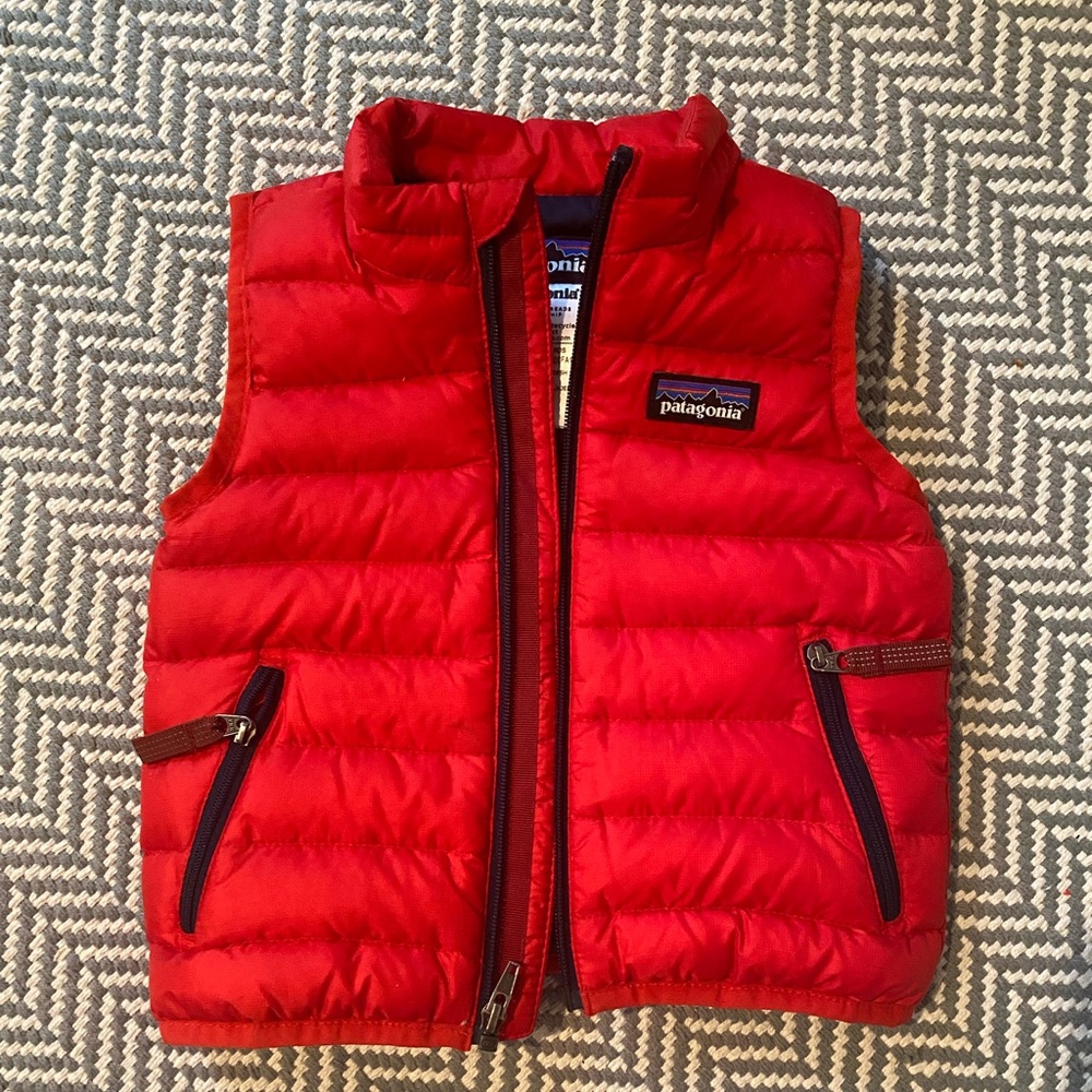 Patagonia down sweater vest